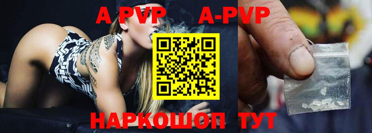 Alfa_PVP СК КРИС  Альфа ПВП СК КРИС  Alfa_PVP СК  цена   Сунжа  Вход с VPN 