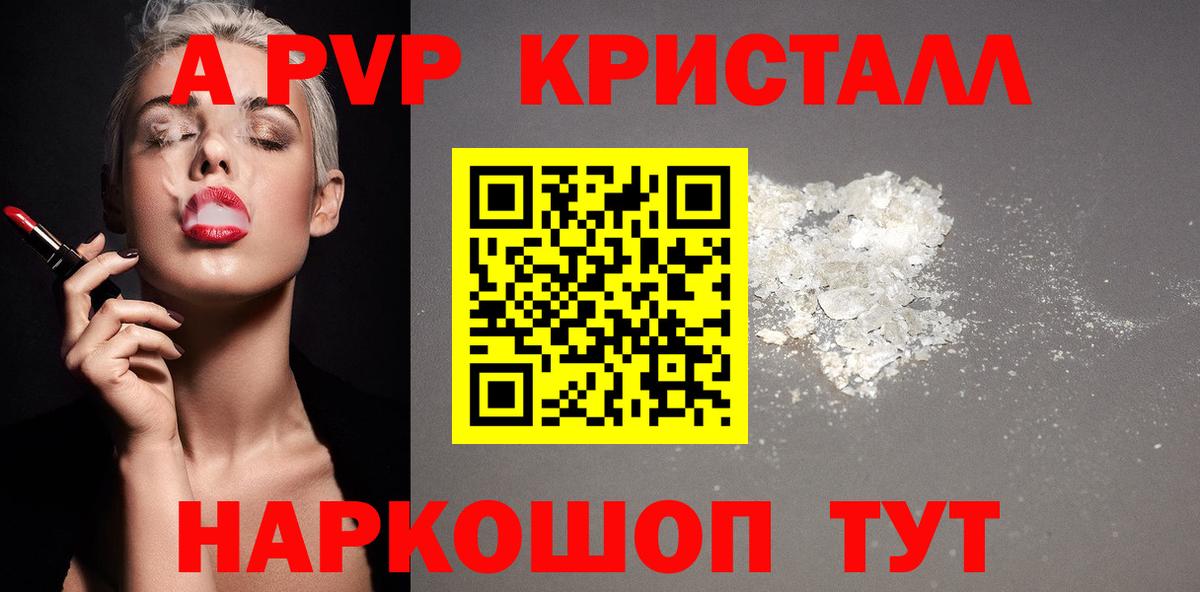 Альфа ПВП СК КРИС Сунжа