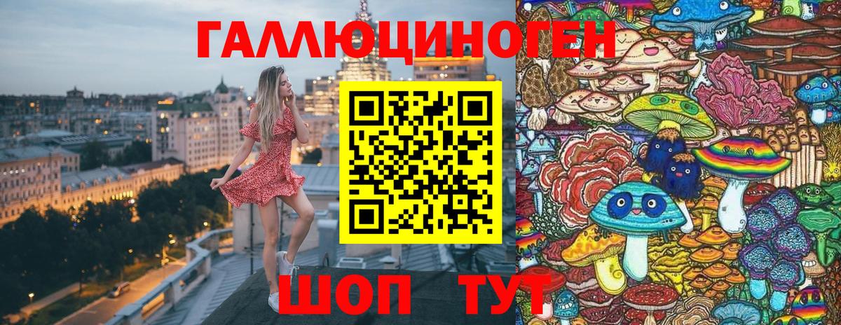 Псилоцибиновые грибы Psilocybe Сунжа