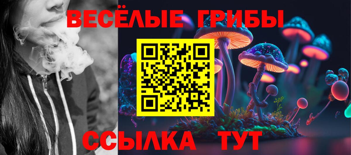Псилоцибиновые грибы GOLDEN TEACHER  Вход с VPN  Сунжа 