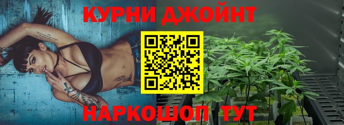 Бошки марихуана Ganja Сунжа